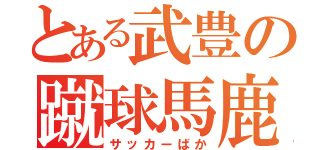 とある武豊の蹴球馬鹿（サッカーばか）