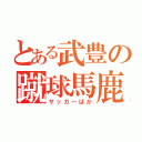 とある武豊の蹴球馬鹿（サッカーばか）