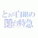 とある白銀の寝台特急（カシオペア）