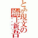 とある現文の梅上新吾（ウメガー）