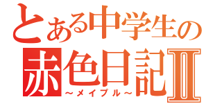 とある中学生の赤色日記Ⅱ（～メイプル～）