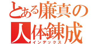 とある廉真の人体錬成（インデックス）