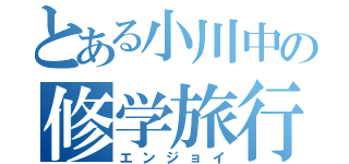 とある小川中の修学旅行（エンジョイ）