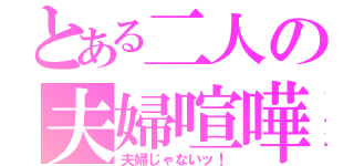 とある二人の夫婦喧嘩（夫婦じゃないッ！）