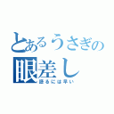 とあるうさぎの眼差し（語るには早い）