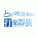 とある吹奏楽の打楽器族（ドラムパート）