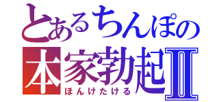 とあるちんぽの本家勃起Ⅱ（ほんけたける）