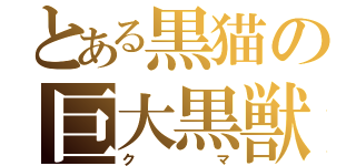 とある黒猫の巨大黒獣 （クマ）