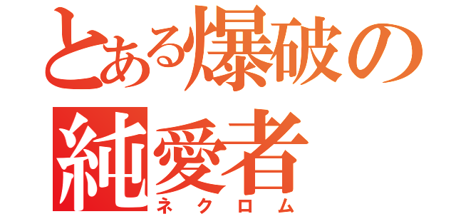 とある爆破の純愛者（ネクロム）