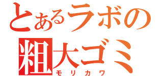 とあるラボの粗大ゴミ（モリカワ）