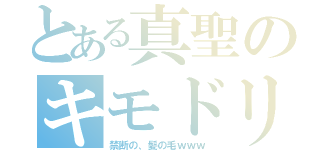 とある真聖のキモドリ（禁断の、髪の毛ｗｗｗ）