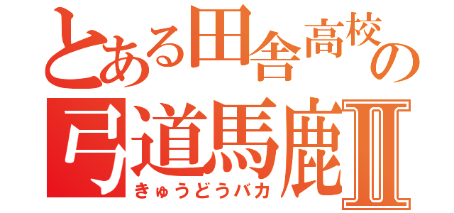 とある田舎高校の弓道馬鹿Ⅱ（きゅうどうバカ）