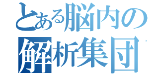 とある脳内の解析集団（）