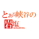 とある峡谷の岩塩（はこれ以上持てません）