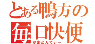 とある鴨方の毎日快便（かまとんてぃー）