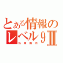 とある情報のレベル９Ⅱ（折原臨也）