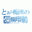 とある痴漢の爛爛瑠鵜（ランランルー）