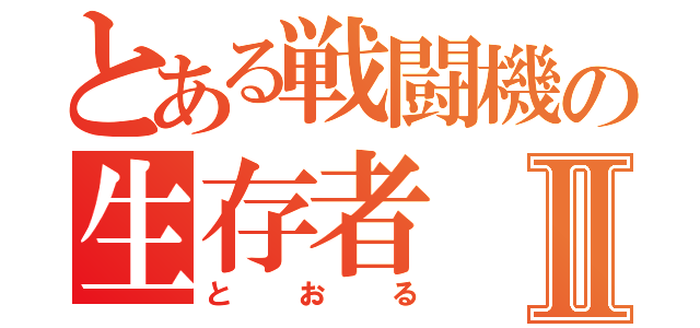 とある戦闘機の生存者Ⅱ（とおる）