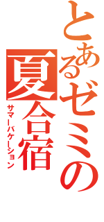 とあるゼミの夏合宿（サマーバケーション）