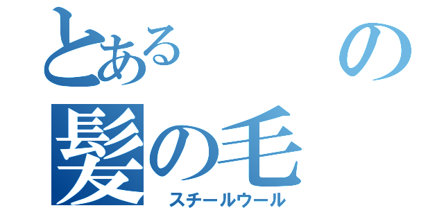 とあるの髪の毛（　スチールウール）