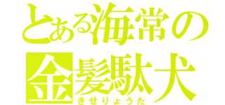 とある海常の金髪駄犬（きせりょうた）
