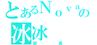 とあるＮｏｖａの冰冰（部長）