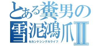 とある糞男の雪泥鴻爪Ⅱ（セカンドシングルライフ）