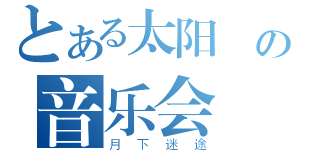 とある太阳鳥の音乐会（月下迷途）