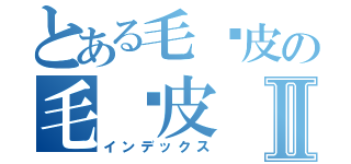 とある毛嘻皮の毛嘻皮Ⅱ（インデックス）