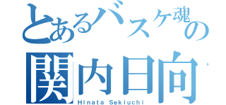 とあるバスケ魂の関内日向（Ｈｉｎａｔａ Ｓｅｋｉｕｃｈｉ）