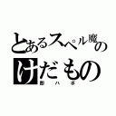 とあるスペル魔のけだもの（即ハボ）