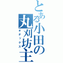 とある小田の丸刈坊主（オダックス）