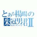 とある楊暘の朱冠男君Ⅱ（ズカンナンくん）