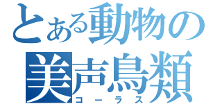 とある動物の美声鳥類（コーラス）