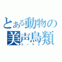 とある動物の美声鳥類（コーラス）