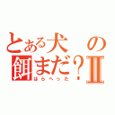 とある犬の餌まだ？Ⅱ（はらへった）