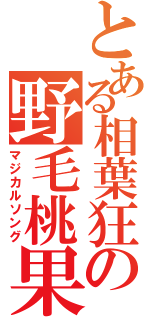 とある相葉狂の野毛桃果（マジカルソング）