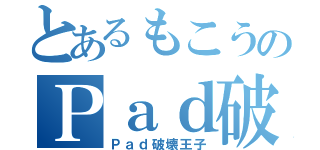 とあるもこうのＰａｄ破壊王子（Ｐａｄ破壊王子）