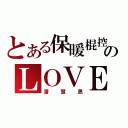 とある保暖棍控のＬＯＶＥｒ（潘慧思）