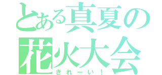 とある真夏の花火大会（きれーい！）