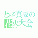 とある真夏の花火大会（きれーい！）