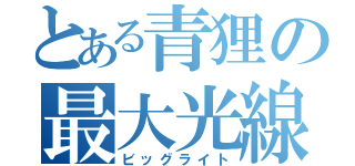 とある青狸の最大光線（ビッグライト）