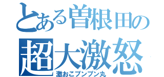 とある曽根田の超大激怒（激おこプンプン丸）