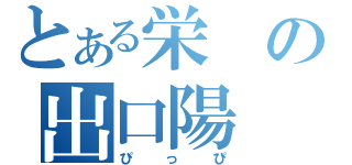 とある栄の出口陽（ぴっぴ）