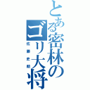 とある密林のゴリ大将（佐藤史朗）