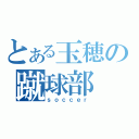 とある玉穂の蹴球部（ｓｏｃｃｅｒ）