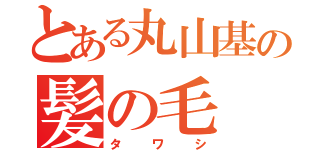 とある丸山基の髪の毛（タワシ）