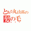 とある丸山基の髪の毛（タワシ）