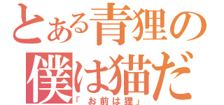 とある青狸の僕は猫だ！（「お前は狸」）