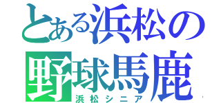 とある浜松の野球馬鹿（浜松シニア）